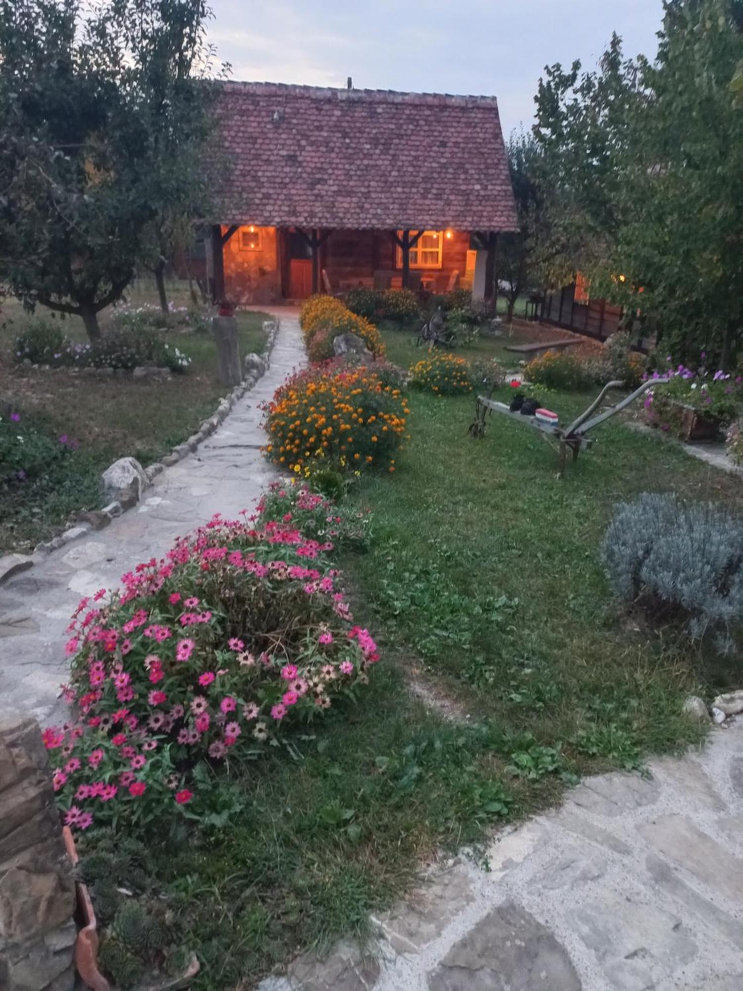Villa Magaze De Luxe Gradacac Exterior foto
